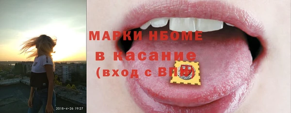 ПСИЛОЦИБИНОВЫЕ ГРИБЫ Арсеньев
