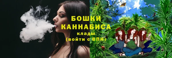 гашик Костерёво