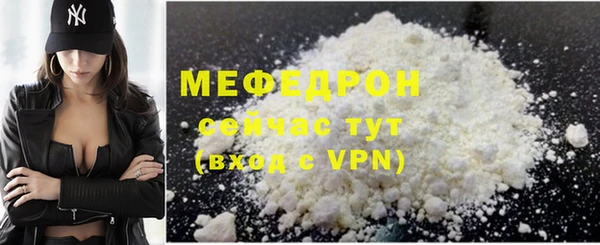 стаф Ельня