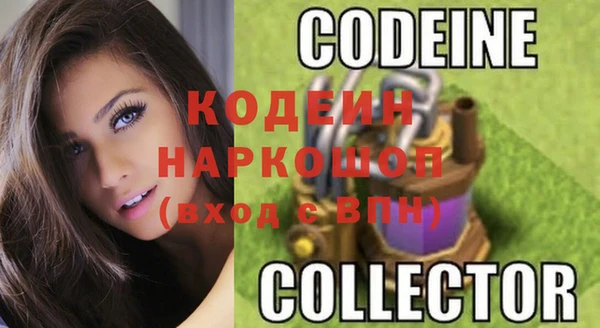 ПСИЛОЦИБИНОВЫЕ ГРИБЫ Арсеньев